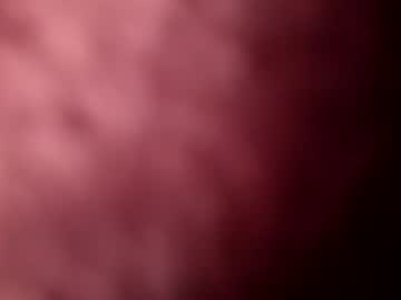 Le777788 April 25, 2025 Chaturbate stream image
