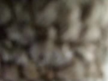 Ryutokun April 25, 2025 Chaturbate stream image