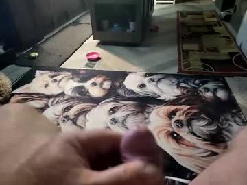 Shamles59 May 04, 2025 Chaturbate stream image