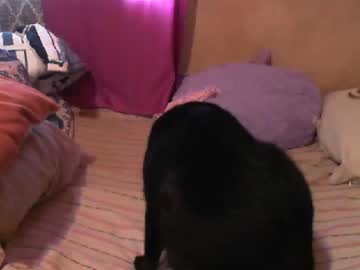 Munniegalz1 May 04, 2025 Chaturbate stream image