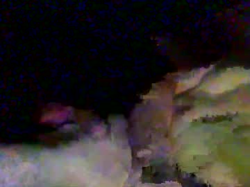 Gab943976 May 05, 2025 Chaturbate stream image