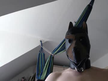 Chrisdan_ May 06, 2025 Chaturbate stream image