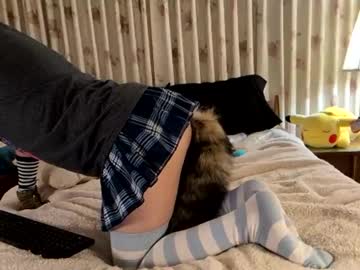 Fuzzypuppyboy May 09, 2025 Chaturbate stream image