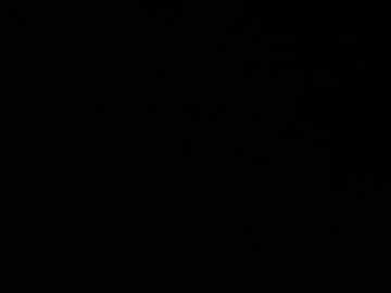 Baybeegerrl May 11, 2025 Chaturbate stream image