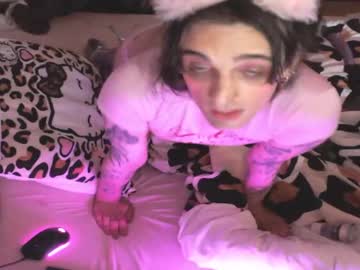 Gigimoewmeow May 12, 2025 Chaturbate stream image