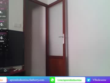 Aprendizdsumisa May 12, 2025 Chaturbate stream image