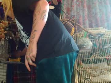 Sophie_Belli May 12, 2025 Chaturbate stream image
