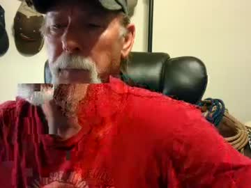 Txlobo60 May 13, 2025 Chaturbate stream image