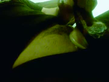 Toesex4fun May 15, 2025 Chaturbate stream image