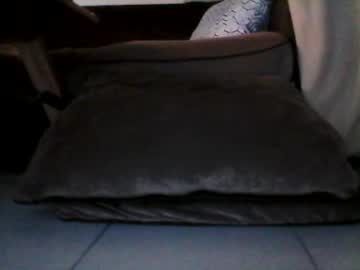 French_Dick_20 May 15, 2025 Chaturbate stream image