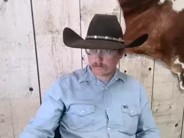 Openmindedcowboy May 19, 2025 Chaturbate stream image