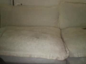 Xxampelosxx May 20, 2025 Chaturbate stream image