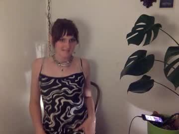 Transdaisy May 23, 2025 Chaturbate stream image