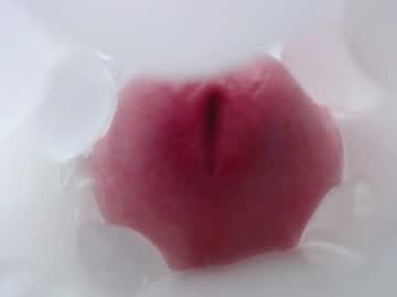 Fuckingyourassdeep May 25, 2025 Chaturbate stream image