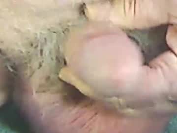 Aquietoldman May 26, 2025 Chaturbate stream image