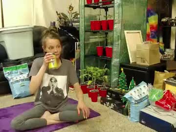 Alexagwonderland May 26, 2025 Chaturbate stream image