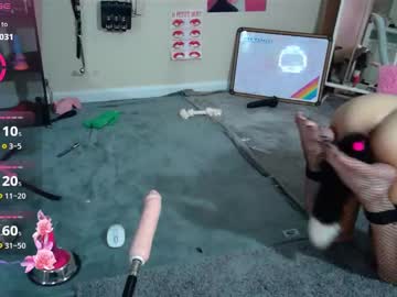 Droolybambi May 26, 2025 Chaturbate stream image