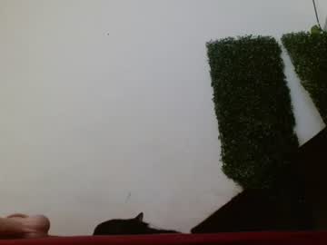 Leidy_Honey May 27, 2025 Chaturbate stream image