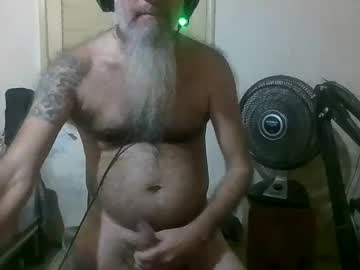 Wolfsoulstar May 29, 2025 Chaturbate stream image