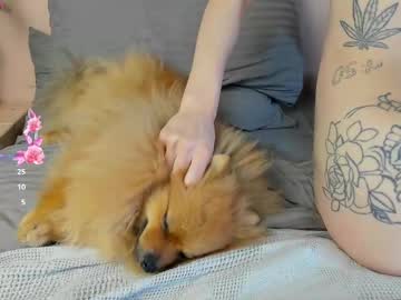 Sweet_Berry420 May 31, 2025 Chaturbate stream image