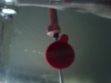 Insatiablecpl333 June 04, 2025 Chaturbate stream image