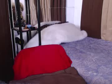 Misstransphilippines June 04, 2025 Chaturbate stream image