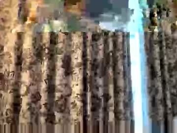 Redleader995 June 05, 2025 Chaturbate stream image