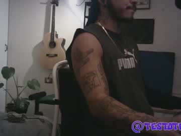 Testotease June 08, 2025 Chaturbate stream image