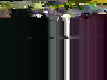 Amber_All_Nite June 10, 2025 Chaturbate stream image
