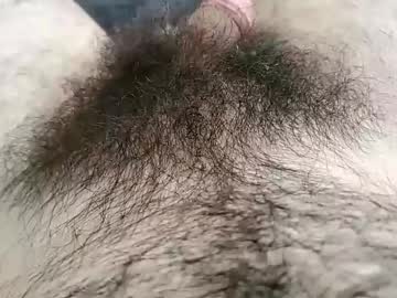 Wildathaert June 11, 2025 Chaturbate stream image