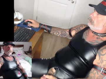 Njdbear June 12, 2025 Chaturbate stream image