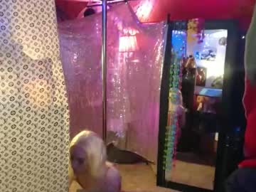 Halovalentine June 18, 2025 Chaturbate stream image