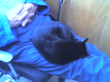 Muller520 June 19, 2025 Chaturbate stream image