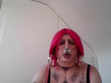 Piercedeve June 20, 2025 Chaturbate stream image