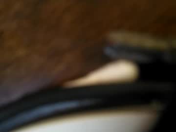 Boredaf6678 June 21, 2025 Chaturbate stream image