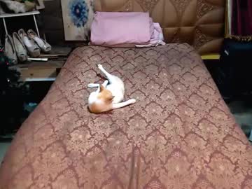 Angeldark_Satisfactionxxx June 21, 2025 Chaturbate stream image
