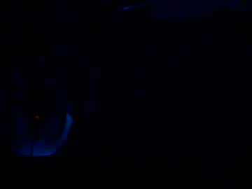 Immerspitz1977 June 21, 2025 Chaturbate stream image