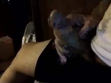 Redfred1969 June 21, 2025 Chaturbate stream image