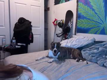 5star_Ash June 24, 2025 Chaturbate stream image