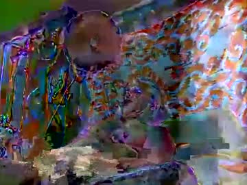 Joelcojones June 24, 2025 Chaturbate stream image