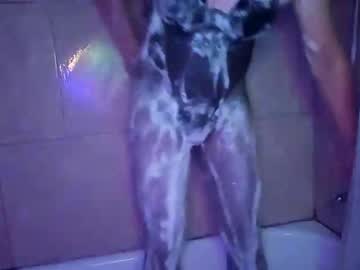 Andrewo4277 June 26, 2025 Chaturbate stream image