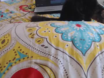 Mollyandbra June 28, 2025 Chaturbate stream image