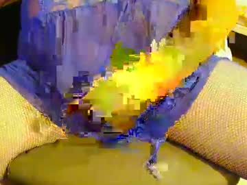 Tampaguy071 June 29, 2025 Chaturbate stream image