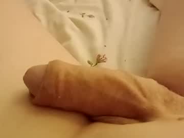 Avus1963 June 30, 2025 Chaturbate stream image
