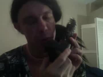 Babygurlslutlyfe July 01, 2025 Chaturbate stream image