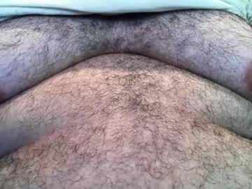 Somegayfurfag July 01, 2025 Chaturbate stream image