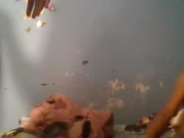 Bts2400 July 02, 2025 Chaturbate stream image
