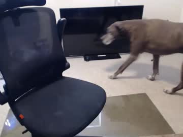 Subryan03 July 02, 2025 Chaturbate stream image