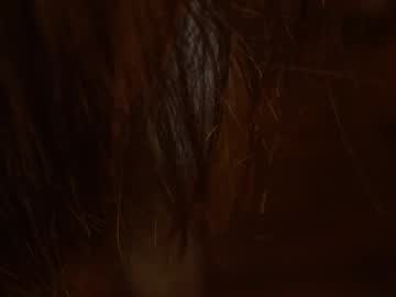 Realbrisky July 03, 2025 Chaturbate stream image