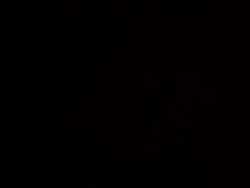 Bob435732 July 04, 2025 Chaturbate stream image